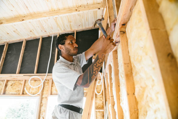 Best Attic Insulation Near Me  in Dunlap, OH