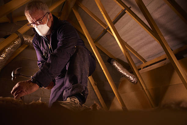 Best Insulation Repair Services  in Dunlap, OH